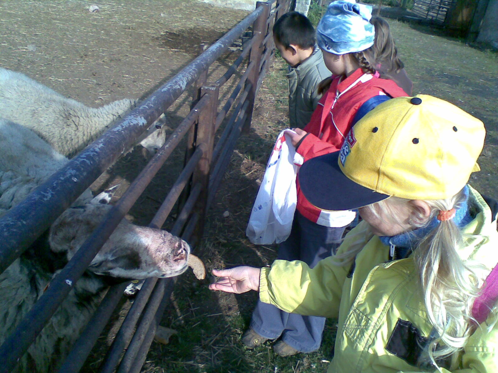 23092008(004).jpg